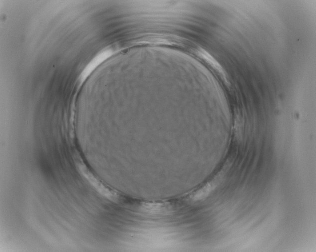 X0000087711378200706011759