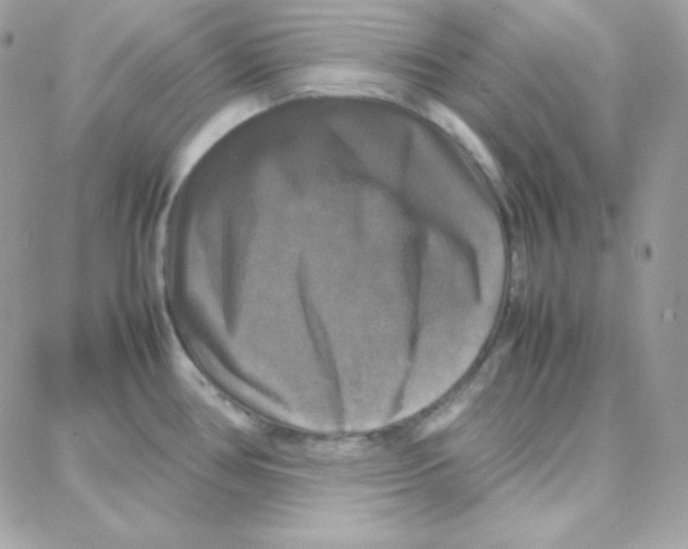 X0000087711386200706011759