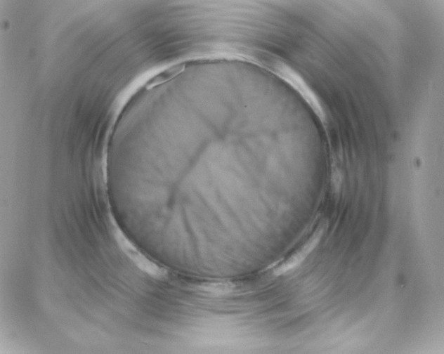 X0000087711388200706011759