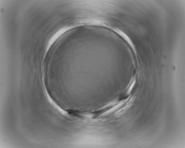 X0000087711389200706011759
