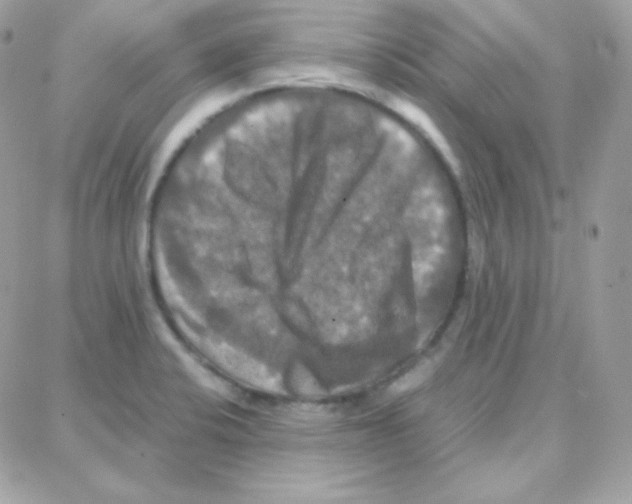 X0000087711424200706011758