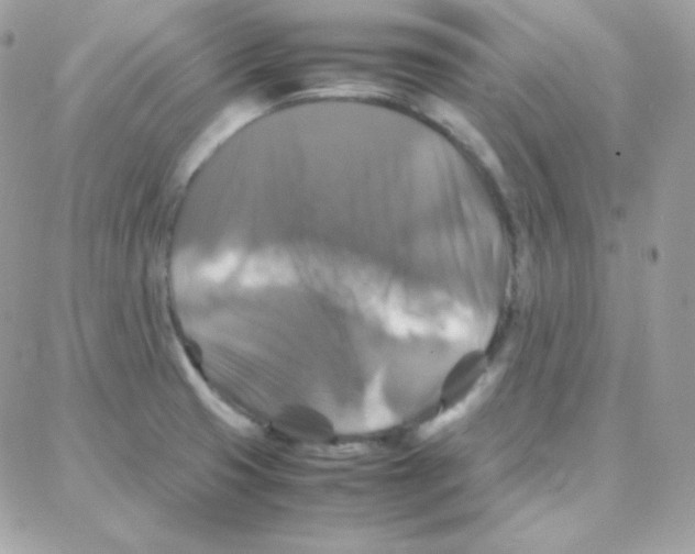 X0000087711425200706011758