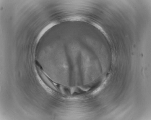 X0000087711426200706011758