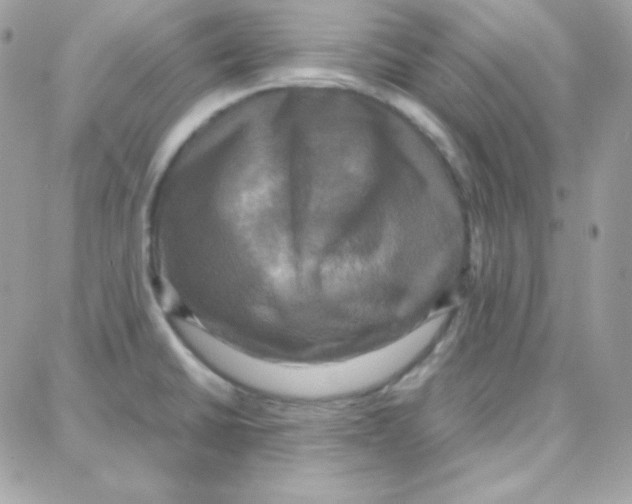 X0000087711430200706011758