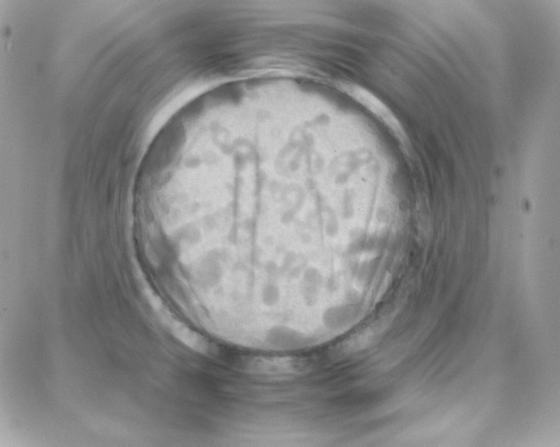 X0000087711431200706011758