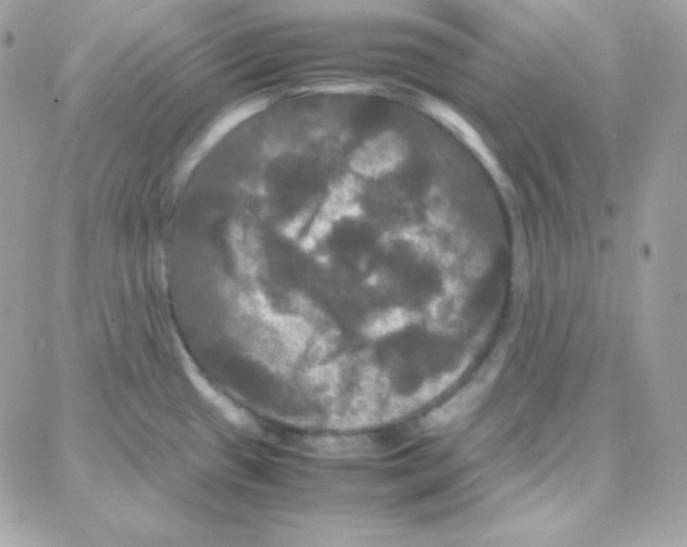 X0000087711433200706011758