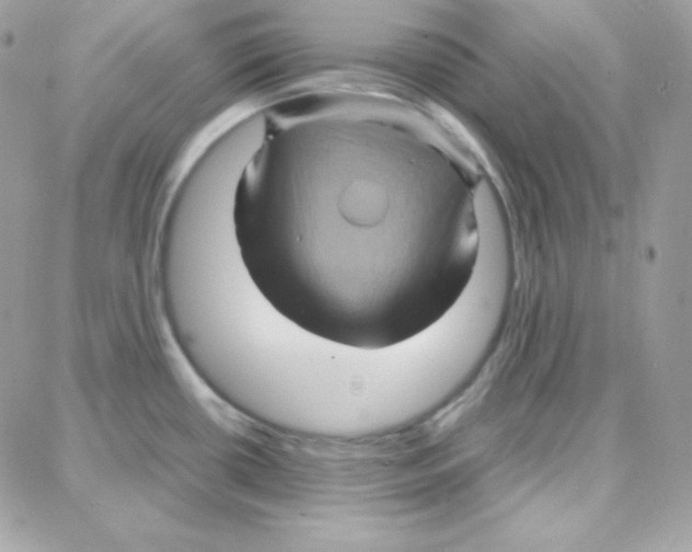 X0000087711434200706011759