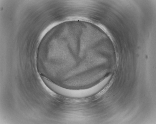 X0000087711438200706011759