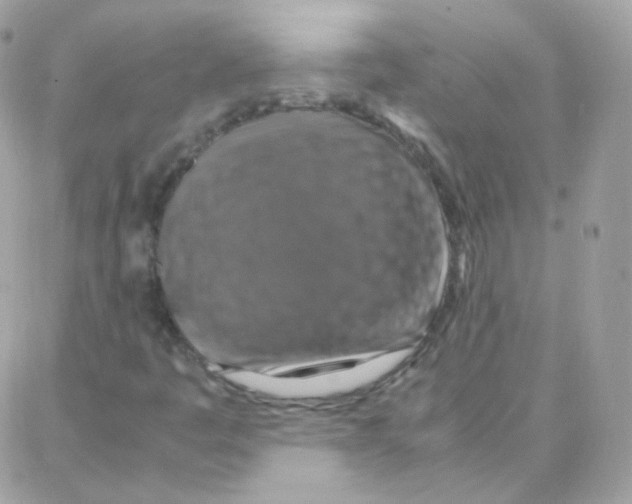 X0000087711445200706011758