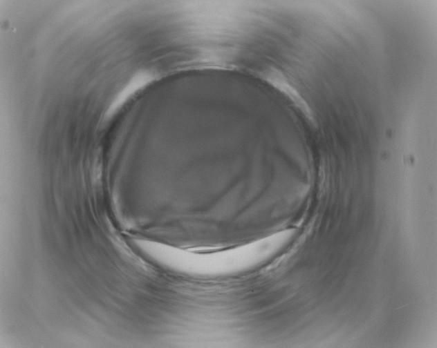X0000087711450200706011758