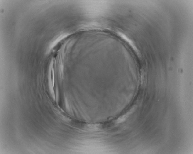 X0000087711453200706011758