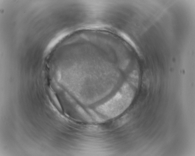 X0000087711456200706011758