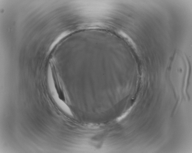 X0000087711457200706011758