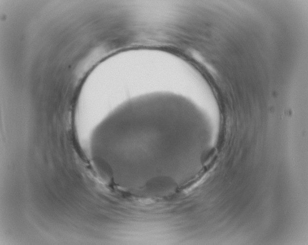 X0000087711459200706011758