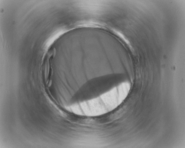 X0000087711463200706011757