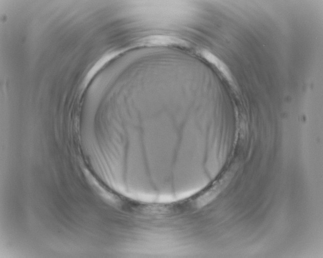 X0000087711473200706011757