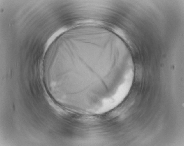 X0000087711474200706011757