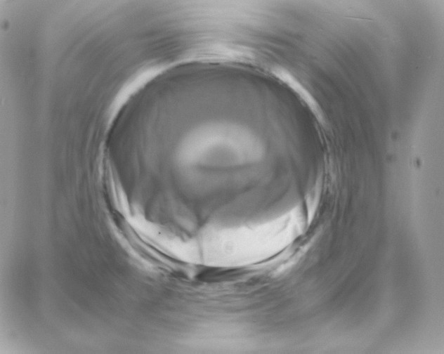 X0000087711477200706011757