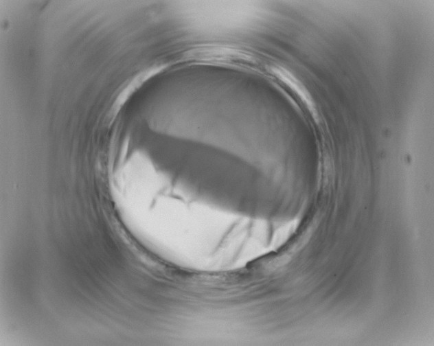 X0000087711481200706011757