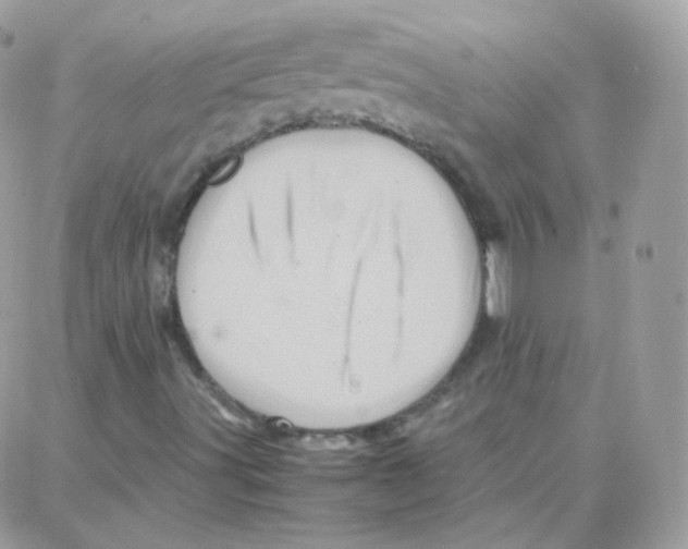 X0000087711491200706011756