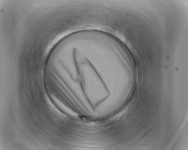 X0000087711500200706011756