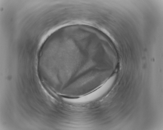 X0000087711508200706011757
