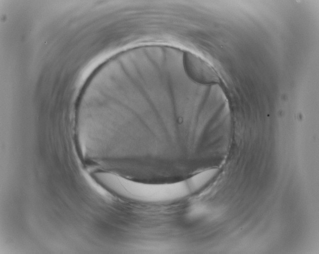 X0000087711519200706011757