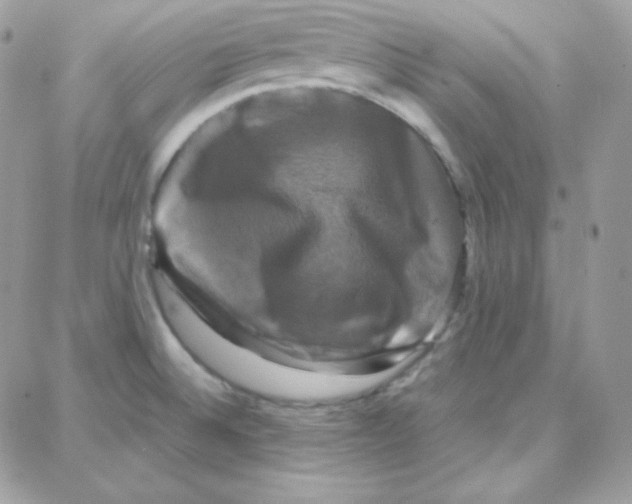 X0000087711524200706011757