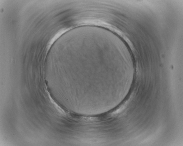 X0000087711529200706011757