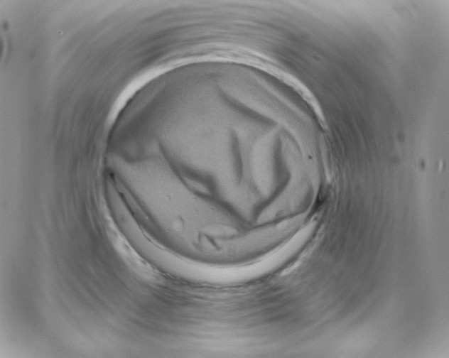 X0000087711530200706011757