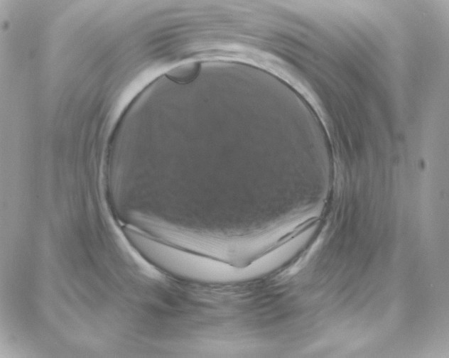X0000087711533200706011757