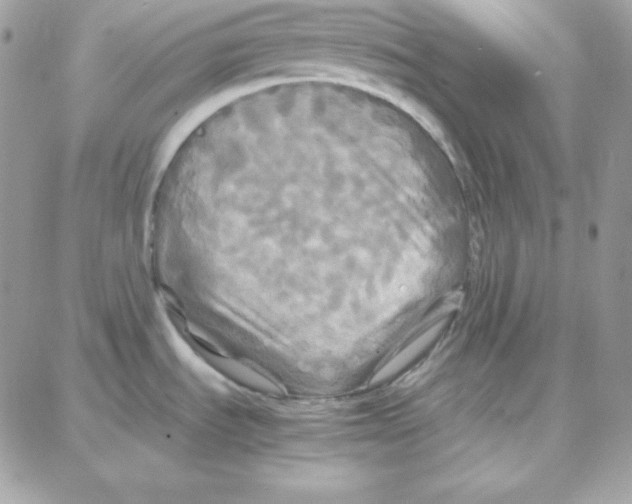X0000087711535200706011757