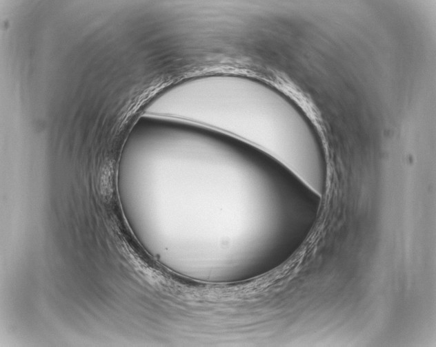 X0000087740009200705070938