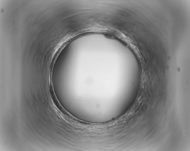 X0000087740011200705070938