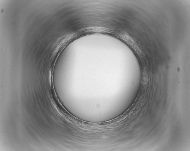 X0000087740014200705070938