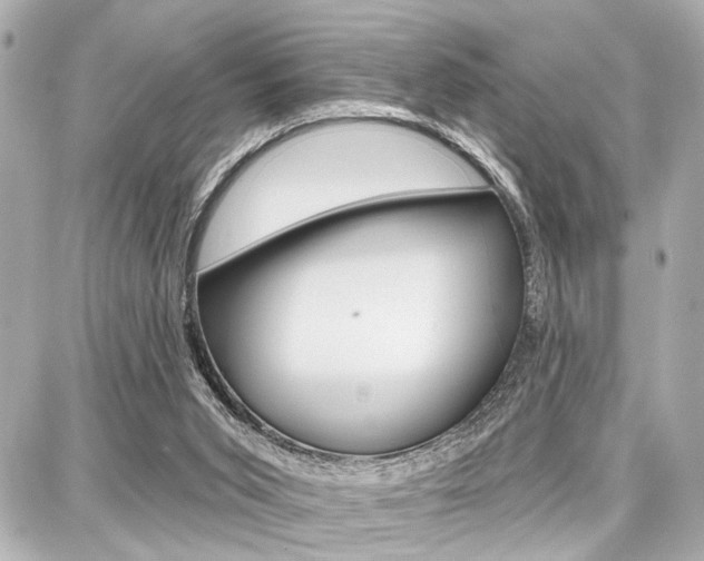 X0000087740015200705070938