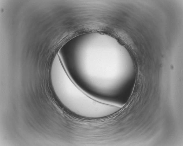 X0000087740021200705070938