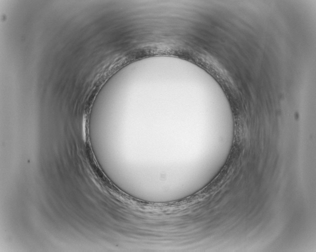 X0000087740022200705070938