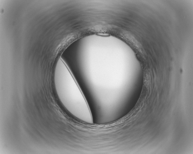 X0000087740023200705070938
