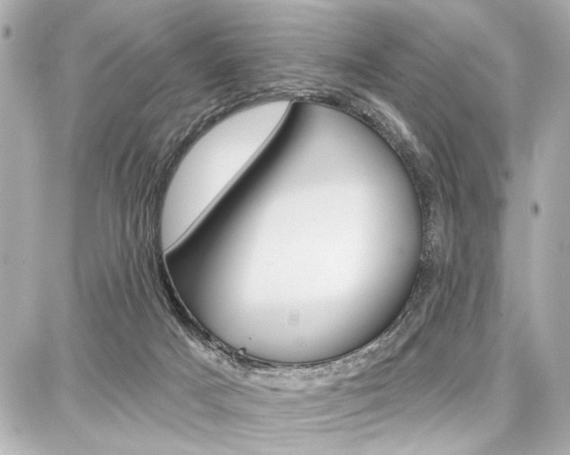 X0000087740025200705070938