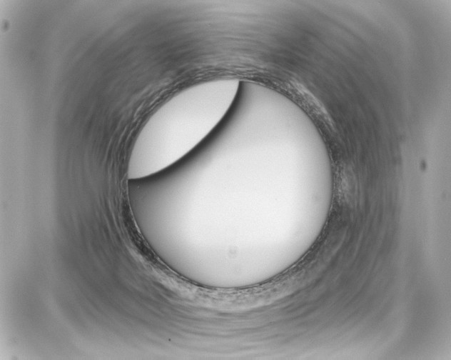 X0000087740026200705070938