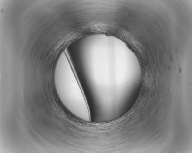 X0000087740027200705070937