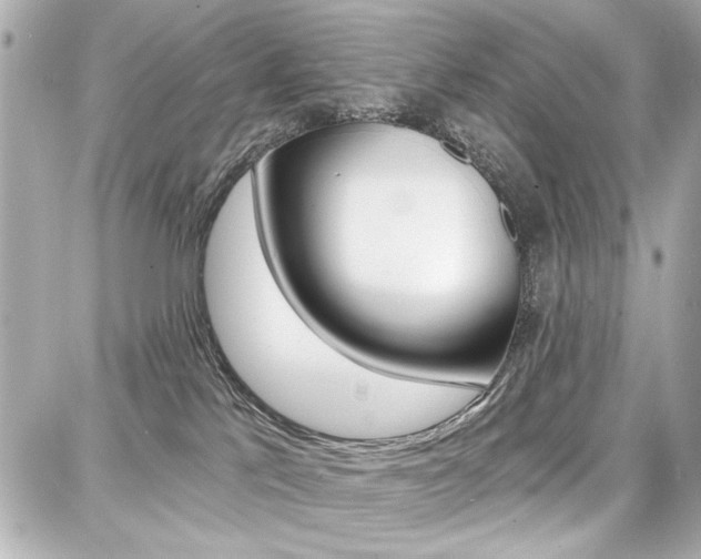 X0000087740041200705070937