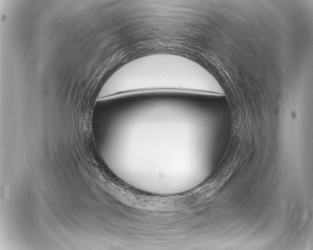 X0000087740044200705070937