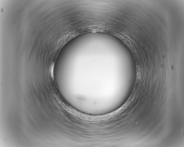 X0000087740047200705070937