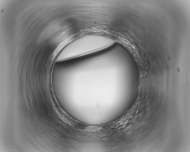 X0000087740051200705070936
