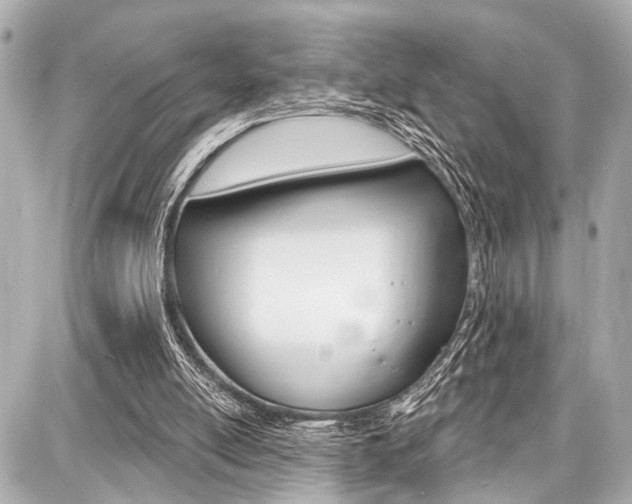 X0000087740054200705070936