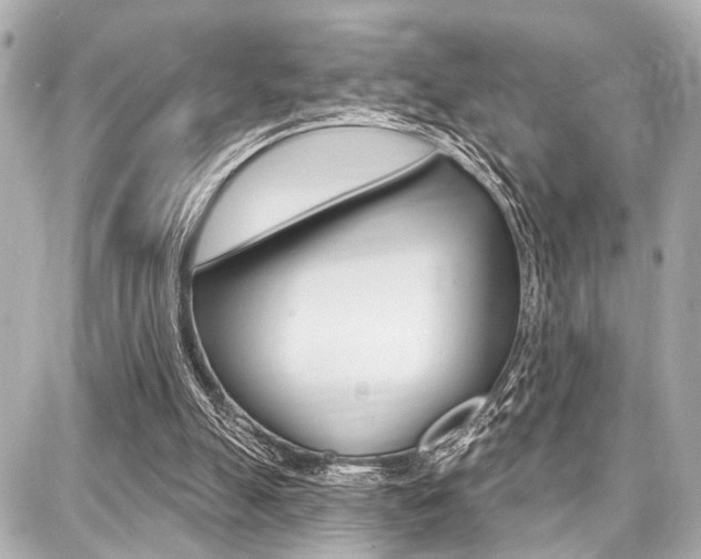 X0000087740055200705070936