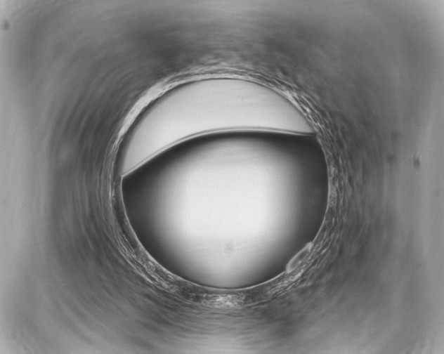 X0000087740056200705070936