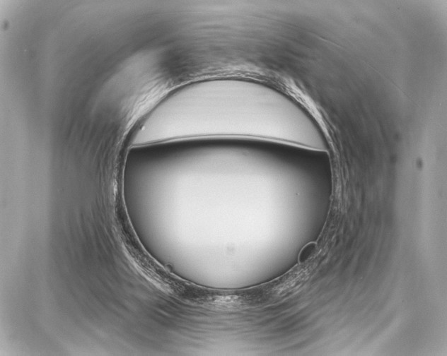 X0000087740059200705070937